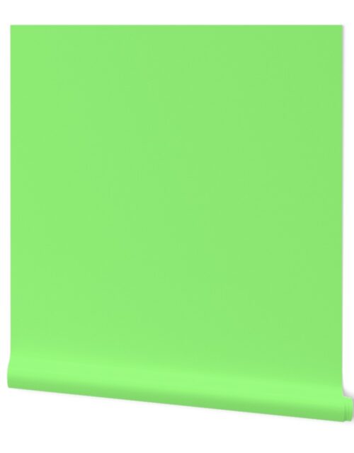 LIGHT GREEN #96f97b HTML HEX Colors Wallpaper