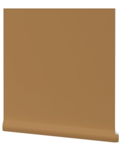 SOLID LIGHT BROWN #ad8150 HTML HEX Colors Wallpaper