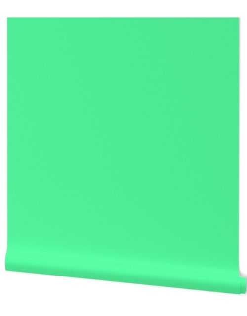 SOLID SEA GREEN #53fca1 HTML HEX Colors Wallpaper