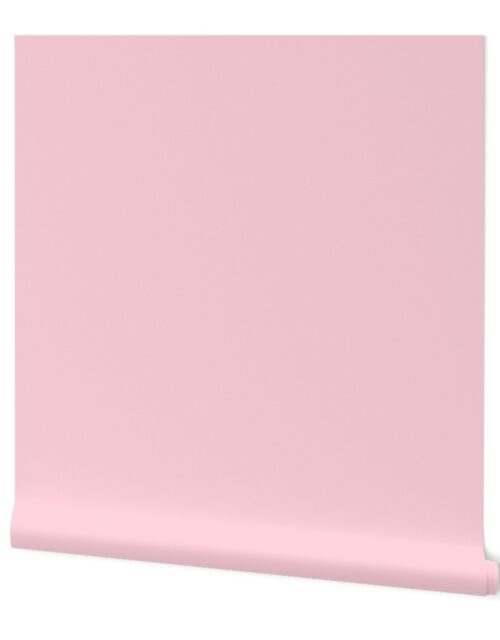 SOLID LIGHT PINK  #ffd1df HTML HEX Colors Wallpaper