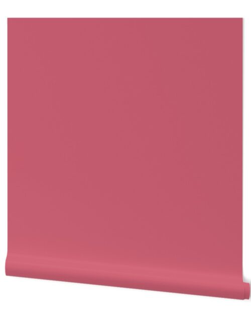 SOLID ROSE  #cf6275 HTML HEX Colors Wallpaper