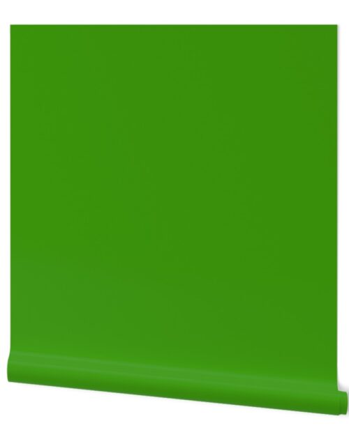 SOLID GRASS GREEN #3f9b0b HTML HEX Colors Wallpaper