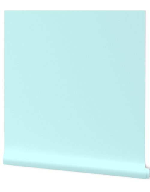 SOLID PALE BLUE #d0fefe HTML HEX Colors Wallpaper