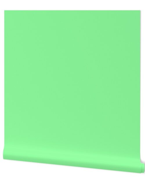 SOLID MINT GREEN  #8fff9f HTML HEX Colors Wallpaper
