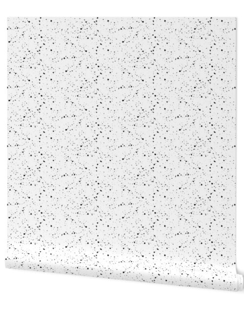 Black and White Speckled Terrazzo Seamless Wallpaper
