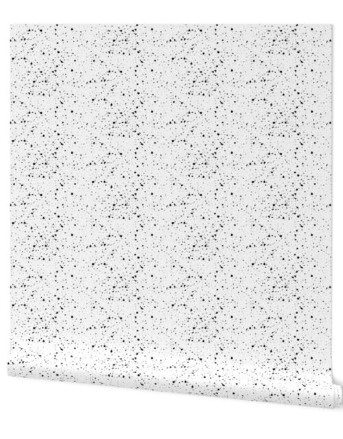 xx Black and White Speckled Terrazzo Seamless Wallpaper