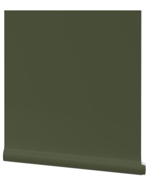 Zelensky Green Military Olive Drab Khaki Green Solid Coordinate Wallpaper