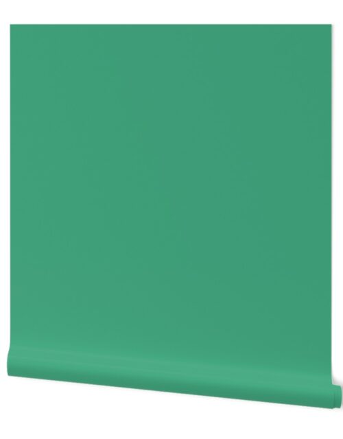 Beguiling Green Dark Shade Solid Color Coordinate Wallpaper