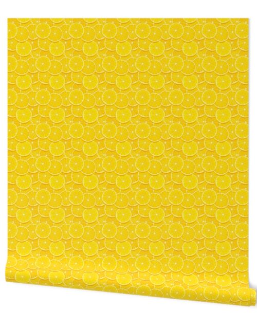 Lemon  Citrus 2 inch Fruit Slices in a Zesty Repeat Pattern Wallpaper