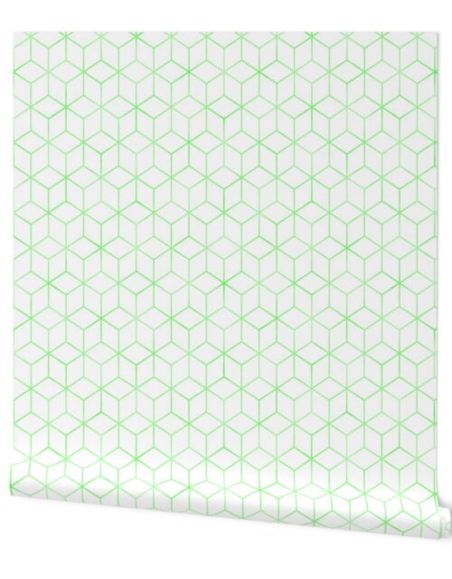 Green and White  Faux Metallic Silver Art Deco 3D Geometric Cubes Wallpaper