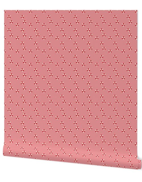 Peppermint Swirls in Red and White Scattered Randomly on Pink Wallpaper