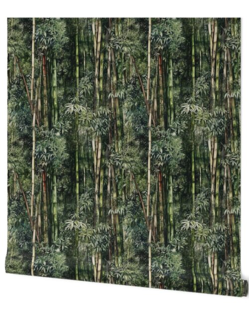 Bamboo Trees in Endless Lush Wet Rain Forest Grove in Green Watercolors Wallpaper
