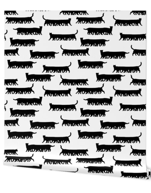 Humorous and Fun Black Cat Multiped Caterpillar Repeat on White Wallpaper