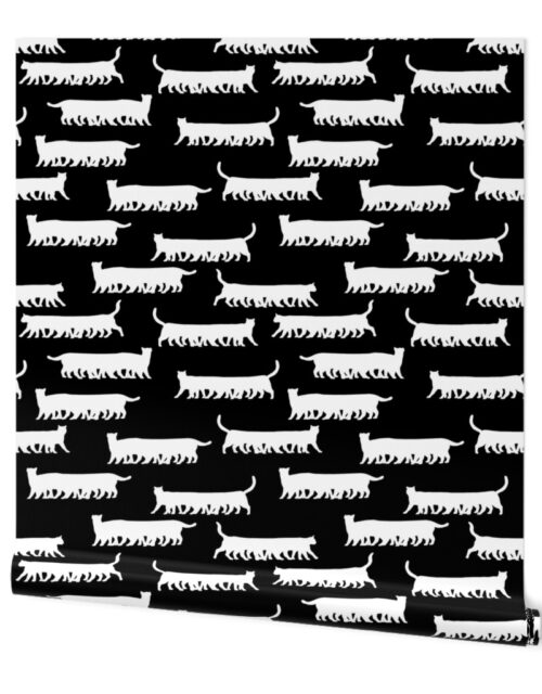 Humorous and Fun White Cat Multiped Caterpillar Repeat on Black Wallpaper