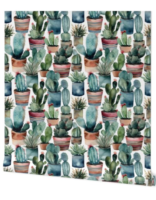 Potted Cactus Cacti Watercolor Wallpaper