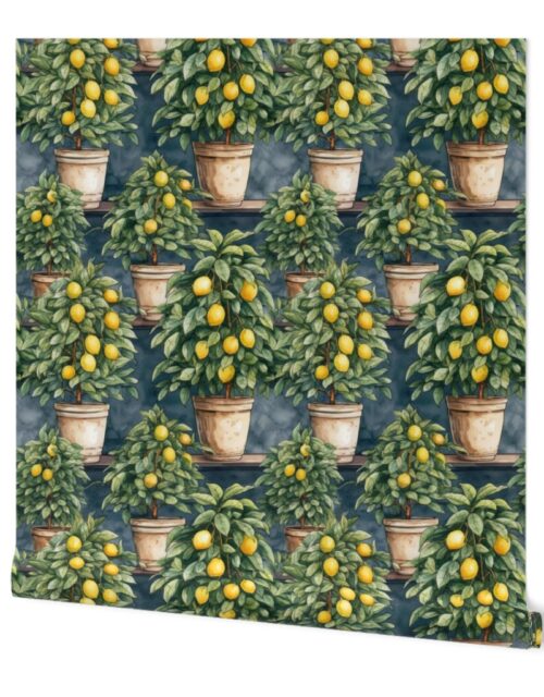 Potted Lemon Trees Watercolor Wallpaper