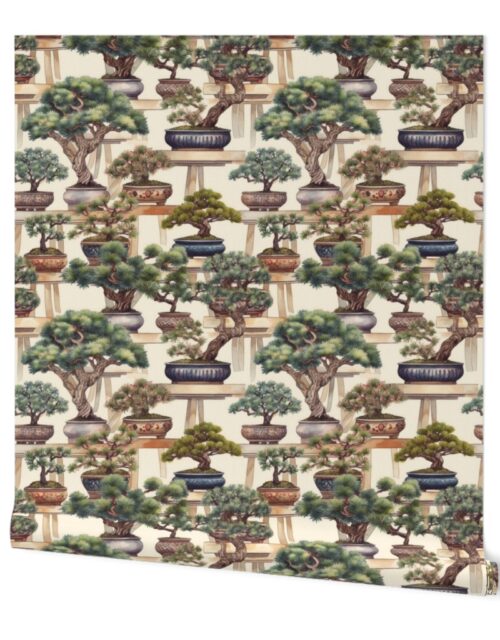 Potted Japanese Bonsai Trees Watercolor Wallpaper