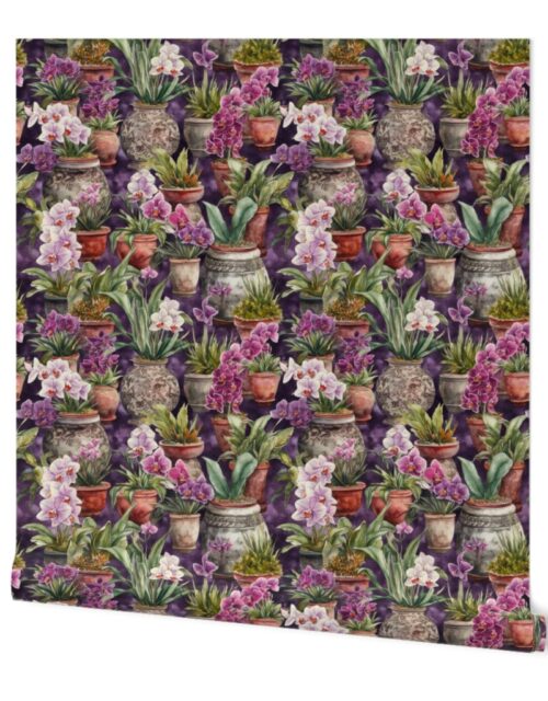 Potted Orchid Plants Watercolor Wallpaper