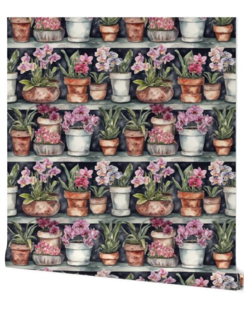 Potted Orchid Plants Watercolor on Shelves Wallpaper