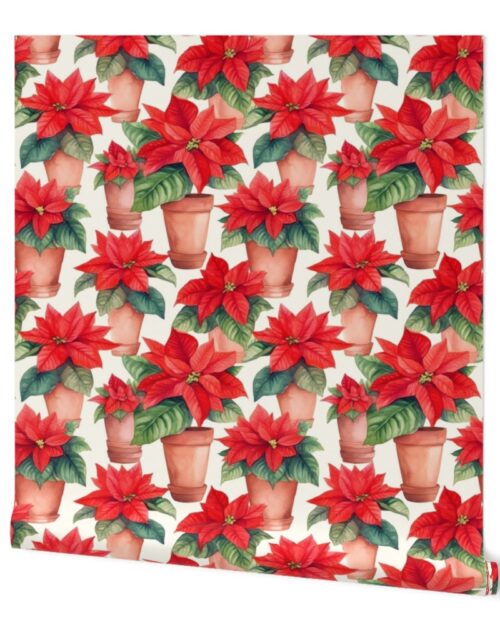 Potted Red Christmas Poinsettias Watercolor on White Wallpaper
