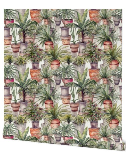 Potted Green  House Palms Watercolor Wallpaper