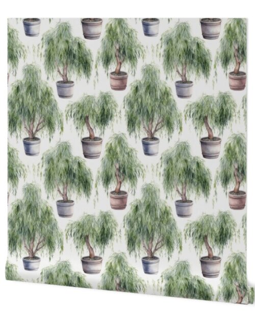 Potted Green  Baby Weeping Willow Tree Plants Watercolor Wallpaper
