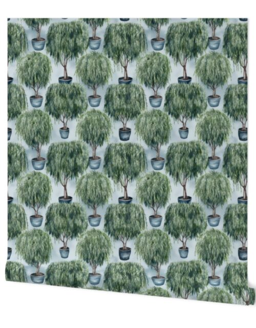 Potted Green  Baby Weeping Willow Tree Plants Watercolor on Pale Blue Wallpaper