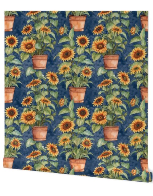 Potted Yellow Sunflower Plants Watercolor on Blue Wallpaper