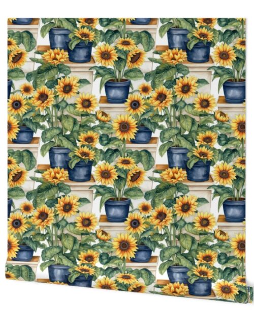 Potted Yellow Sunflower Plants Watercolor Wallpaper