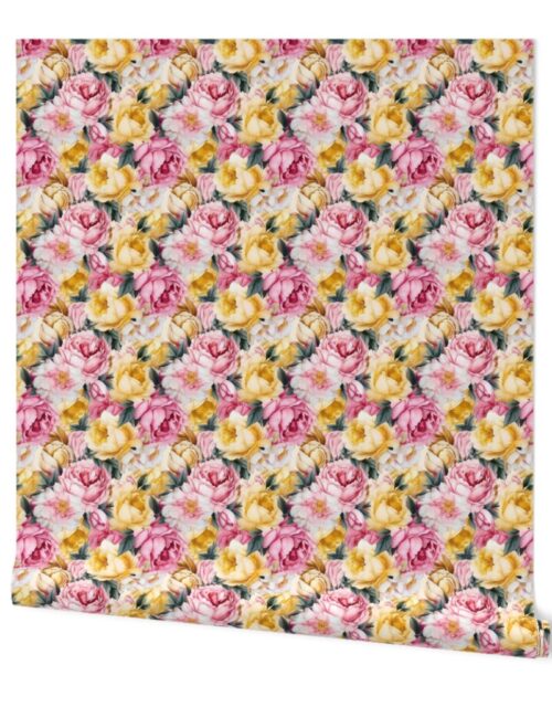 Densely Packed Jumbo Floral Rose Blossoms in Yellow, Pink and White Wallpaper