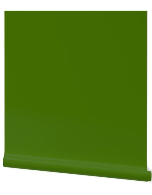 Dark Green – Tomato Solid Color Palette Wallpaper