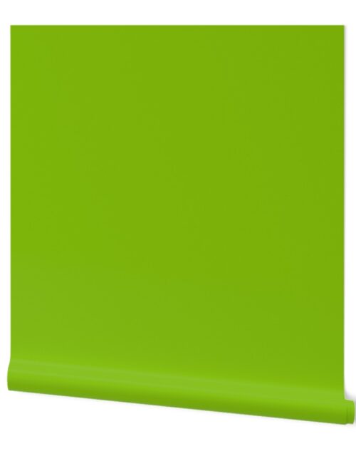 Green – Tomato Solid Color Palette Wallpaper