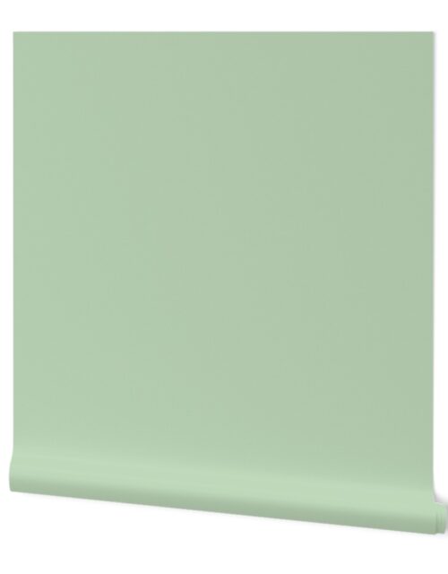 Sea Glass  Seafoam Green Solid Color Palette Wallpaper