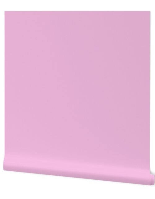 Candy Pink Breast Cancer Awareness Solid Color Trim Wallpaper
