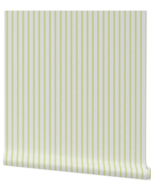 Medium  New Green on Off-White French Provincial Mattress Ticking Wallpaper