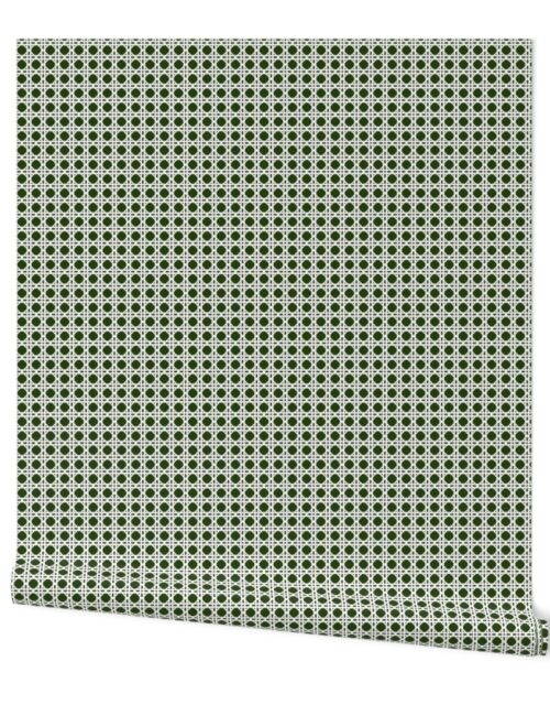 White on Lichen Green Rattan Caning Pattern Wallpaper
