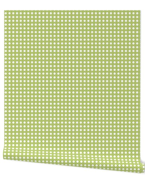 Fresh Green  on White Rattan Caning Pattern Wallpaper