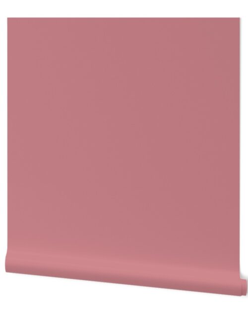 Dusty Rose Solid Design Color Wallpaper