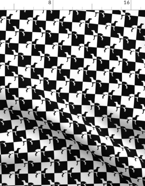 Black and White Weimaraners on Checkerboard Fabric
