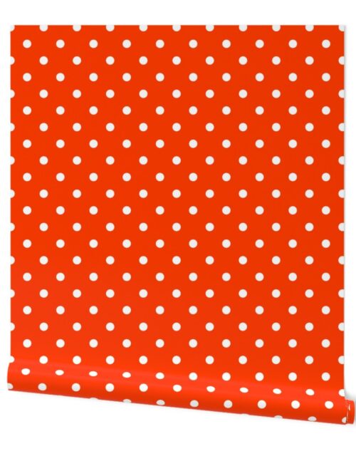 Orange-Pop-and-White-Polka-Dots Wallpaper