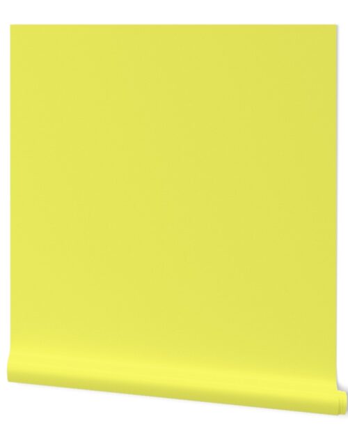 Pastel Limelight Yellow 2018 Fall Winter Color Trends Wallpaper
