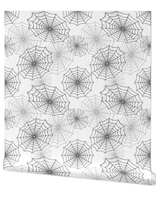 Black Spider Web Cobweb Silk Pattern on Dark White Wallpaper