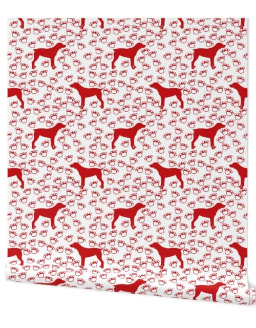 Big Red Dog and Paw Prints Wallpaper