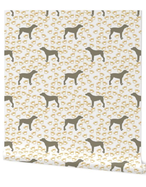 Big Grey Weimaraner Dogs with Yellow Paw Prints Wallpaper