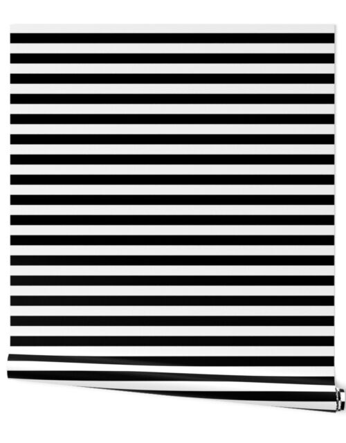 Cat Black and White Horizontal Witch Stripes Wallpaper