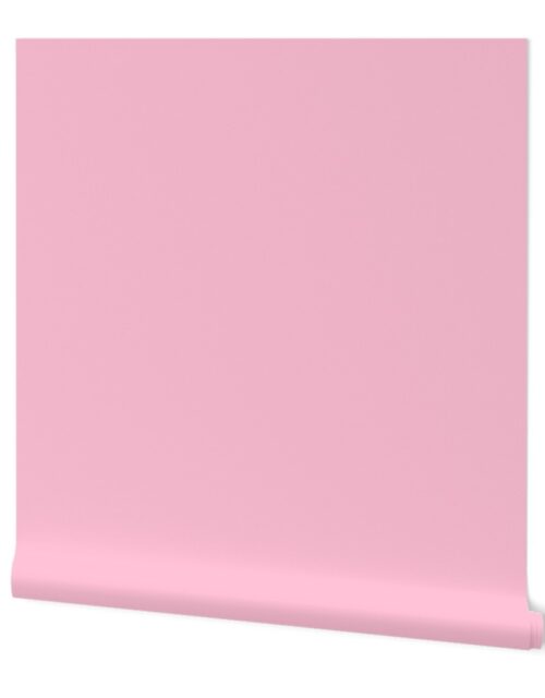 Hibiscus Solid Pink Bloom Accent Wallpaper
