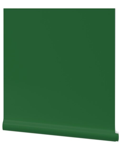 Evergreen Green Christmas Green Solid Wallpaper