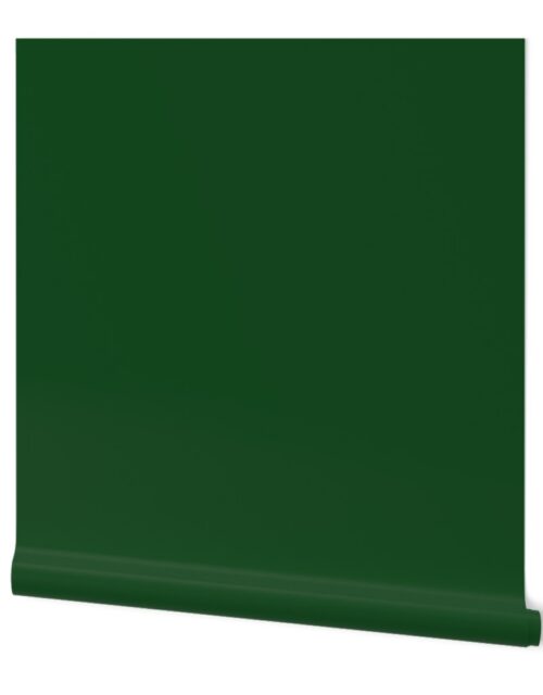 Balsam Green Christmas Green Solid Wallpaper
