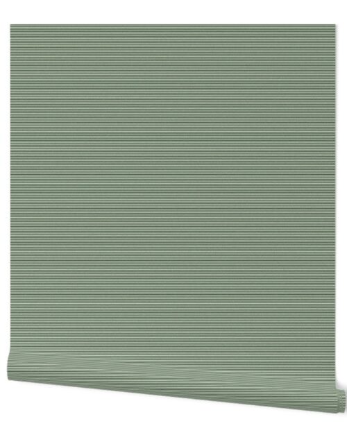 Forest Green and White 1/16-inch Micro Pinstripe Horizontal Stripes Wallpaper