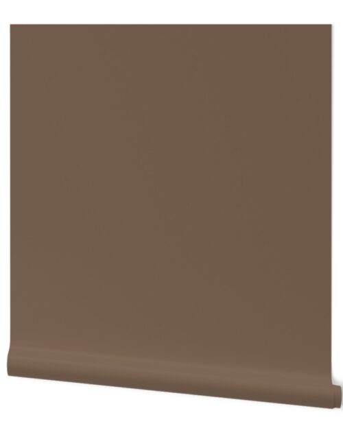 Brown Taupe Solid Summer Party Color Wallpaper